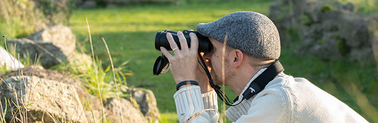 Guide du débutant à l’observation des oiseaux