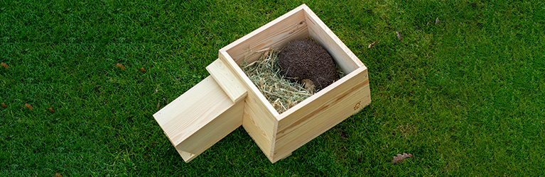 Comment construire un abri pour hérissons ?