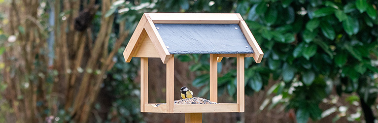 Comment bien nettoyer un nichoir et une mangeoire pour oiseaux ? 