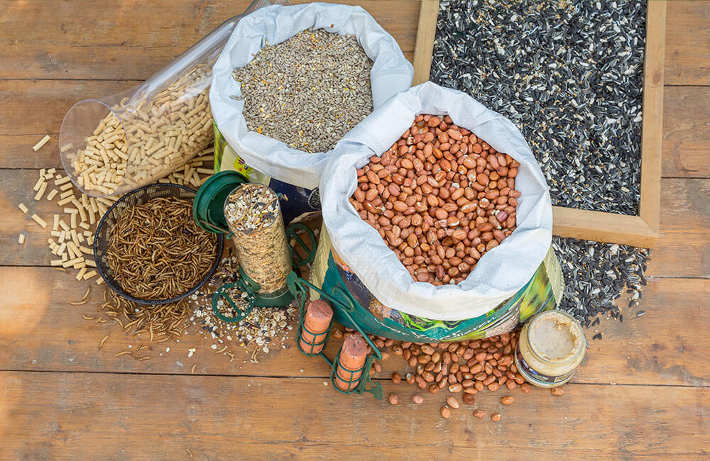 Une variété d'aliments pour oiseaux, notamment des cacahuètes, des graines de tournesol, des vers de farine et des mélanges de graines.