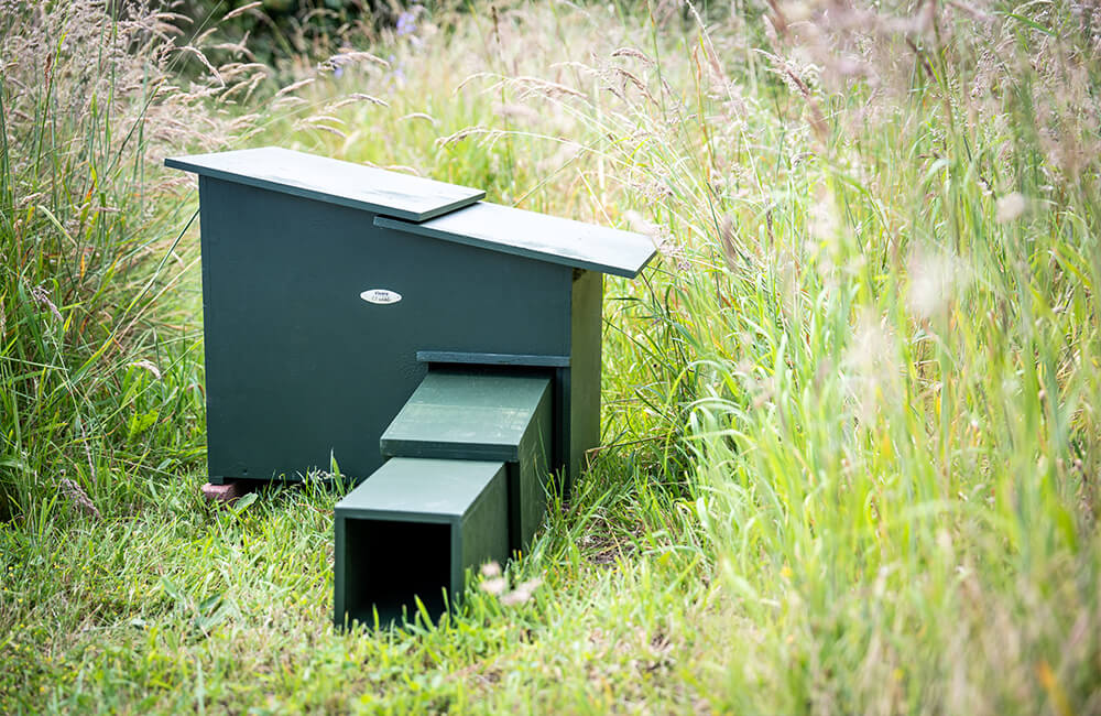 Une maison professionnelle pour hérissons