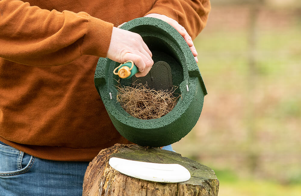 Le couvercle d'un nichoir en pierre de bois a été enlevé et est en train d'être nettoyé de l'intérieur