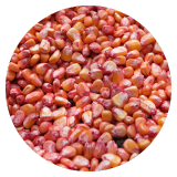Le maïs (rouge) cassé