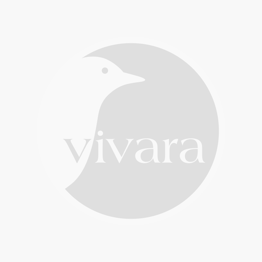 Mangoire Vivara Kids rouge avec trois boules de graisse Vivara Kid (109650119​)