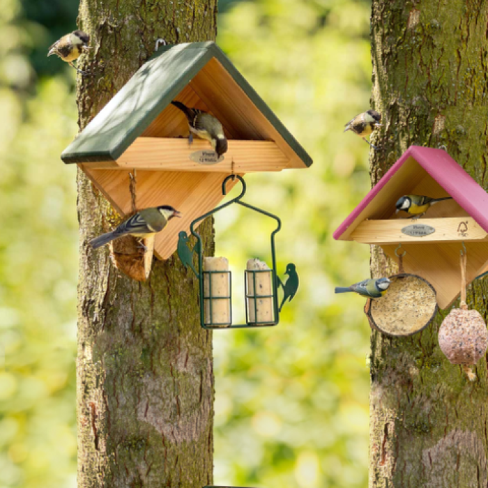 Mangeoire À Oiseaux En Bois - Retours Gratuits Dans Les 90 Jours - Temu  Switzerland