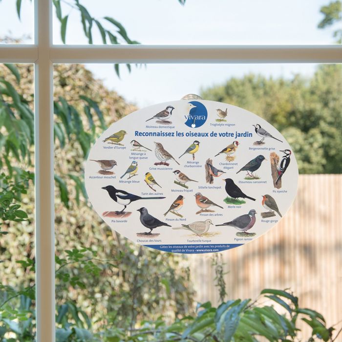 Poster oiseaux du jardin