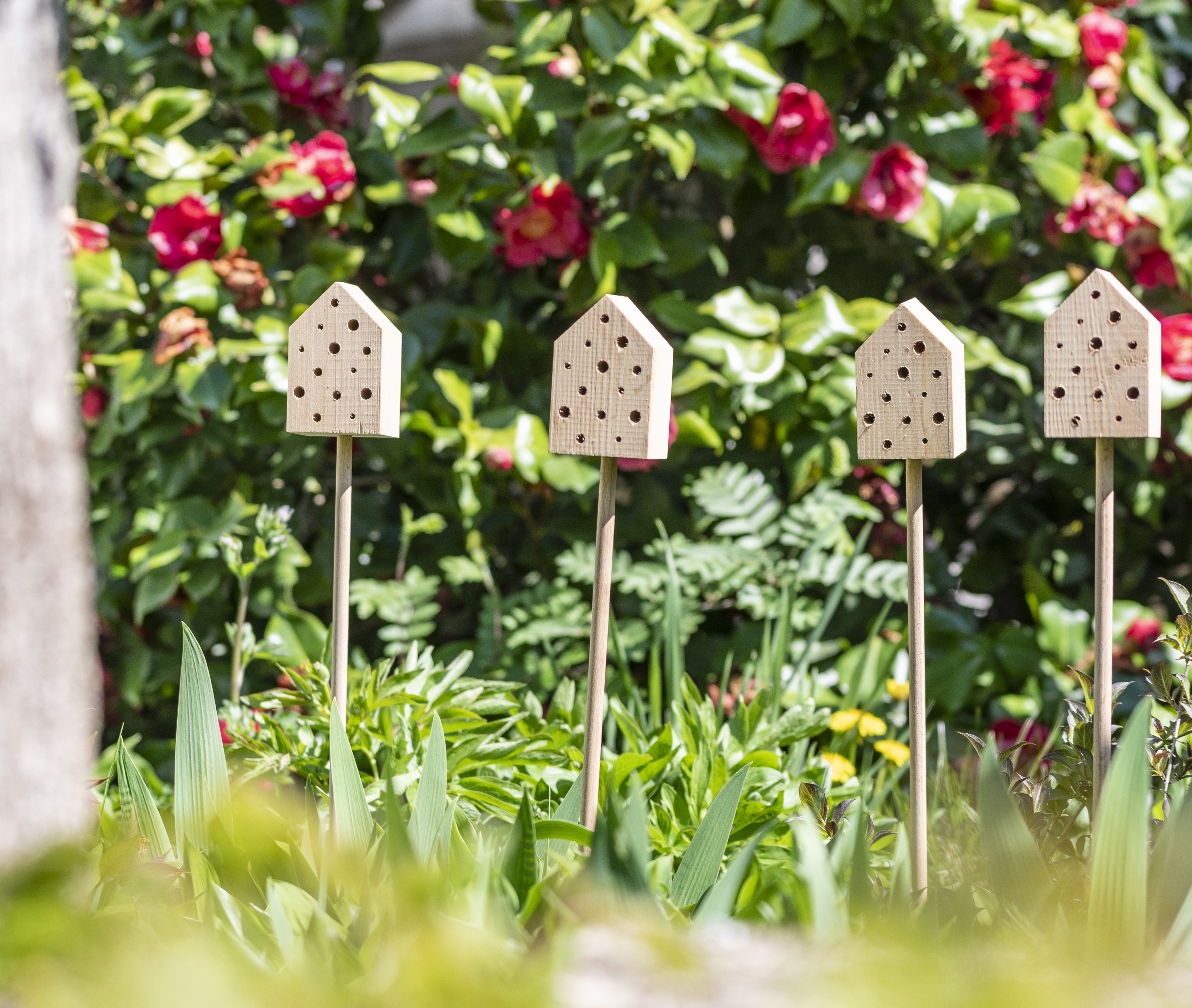 Une photo de quatre h&ocirc;tels &agrave; insectes sur un poteau dans le jardin