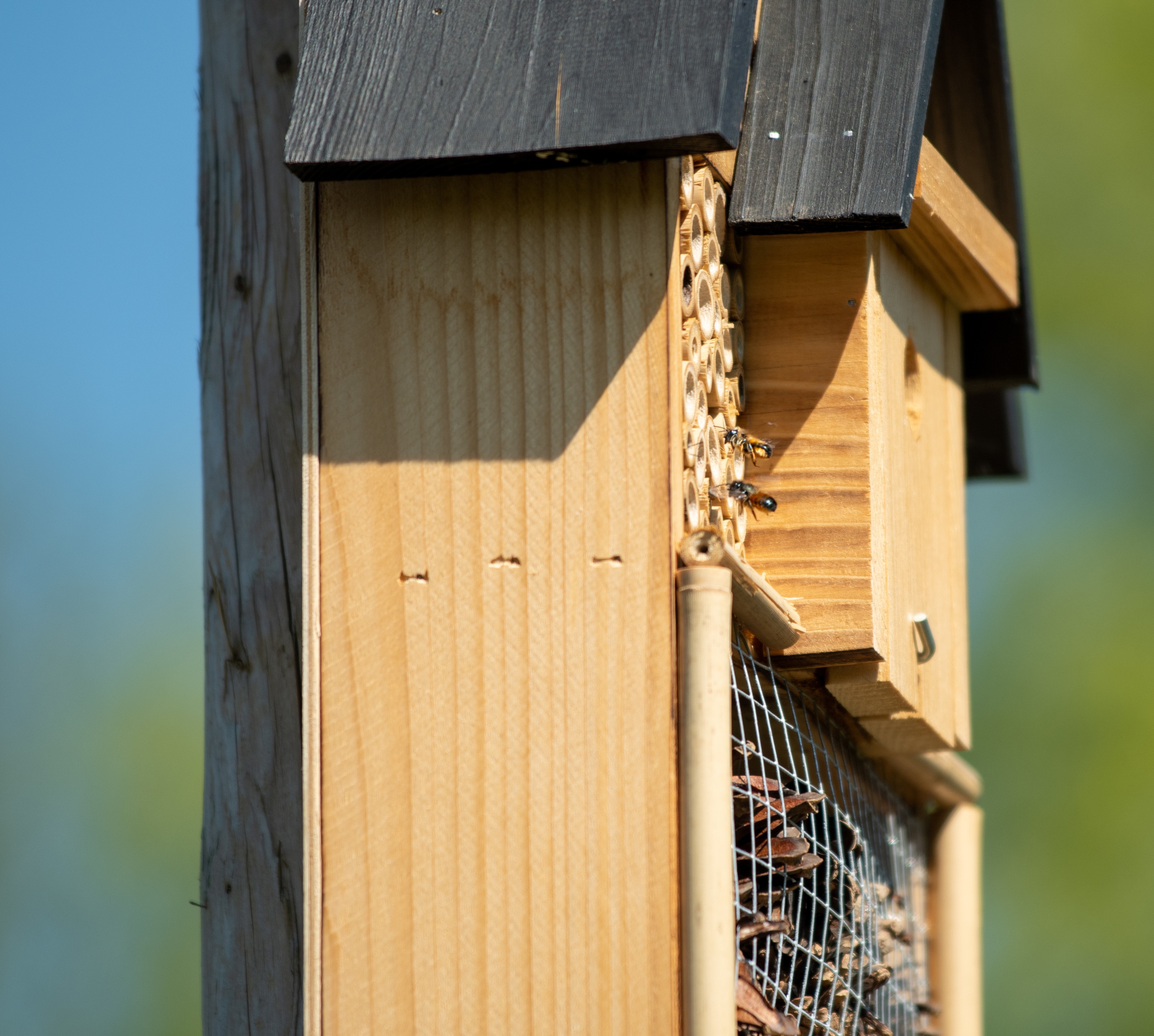 Une photo d'un h&ocirc;tel &agrave; insectes en bois