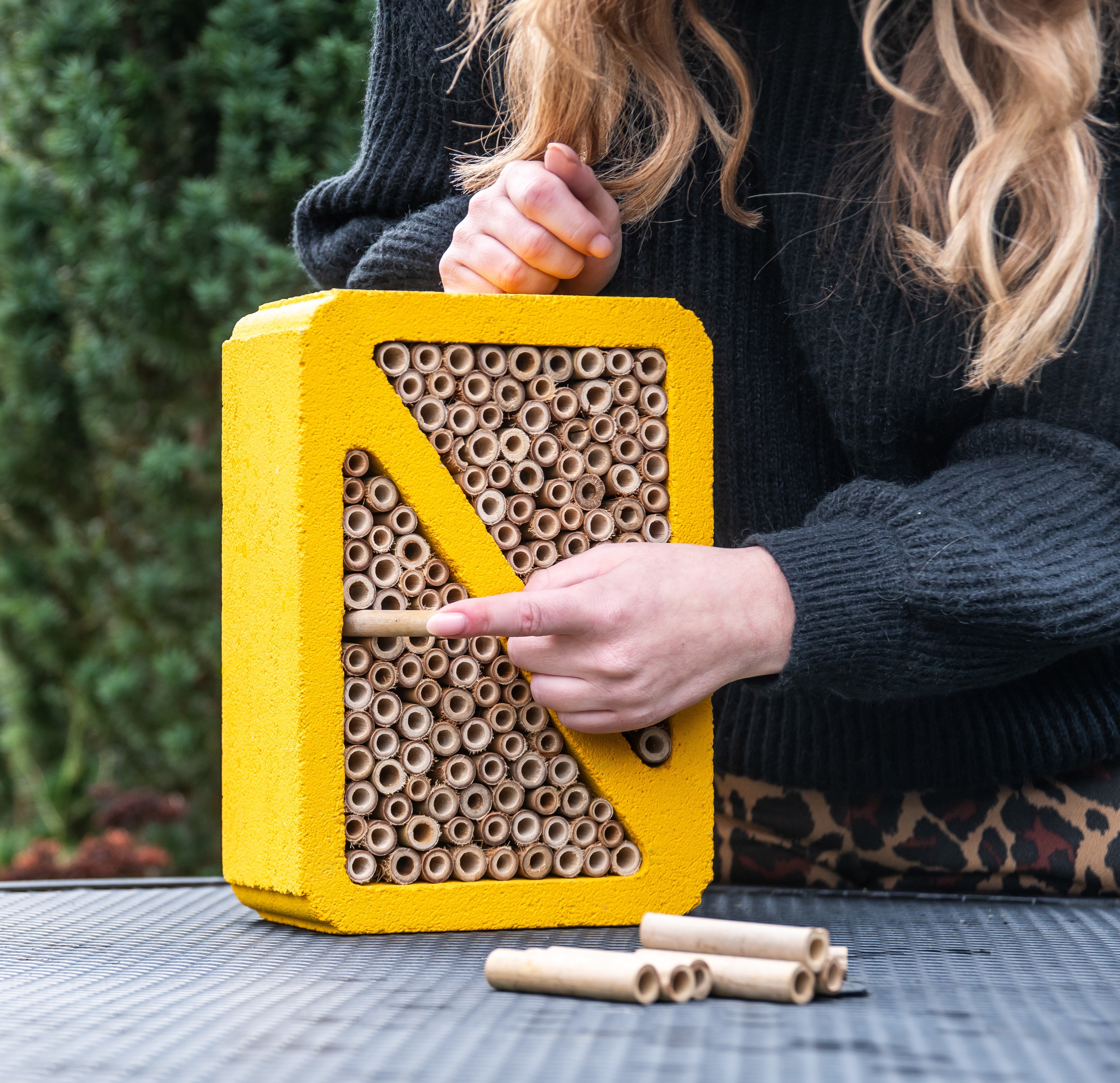 Photo d'un h&ocirc;tel &agrave; abeilles