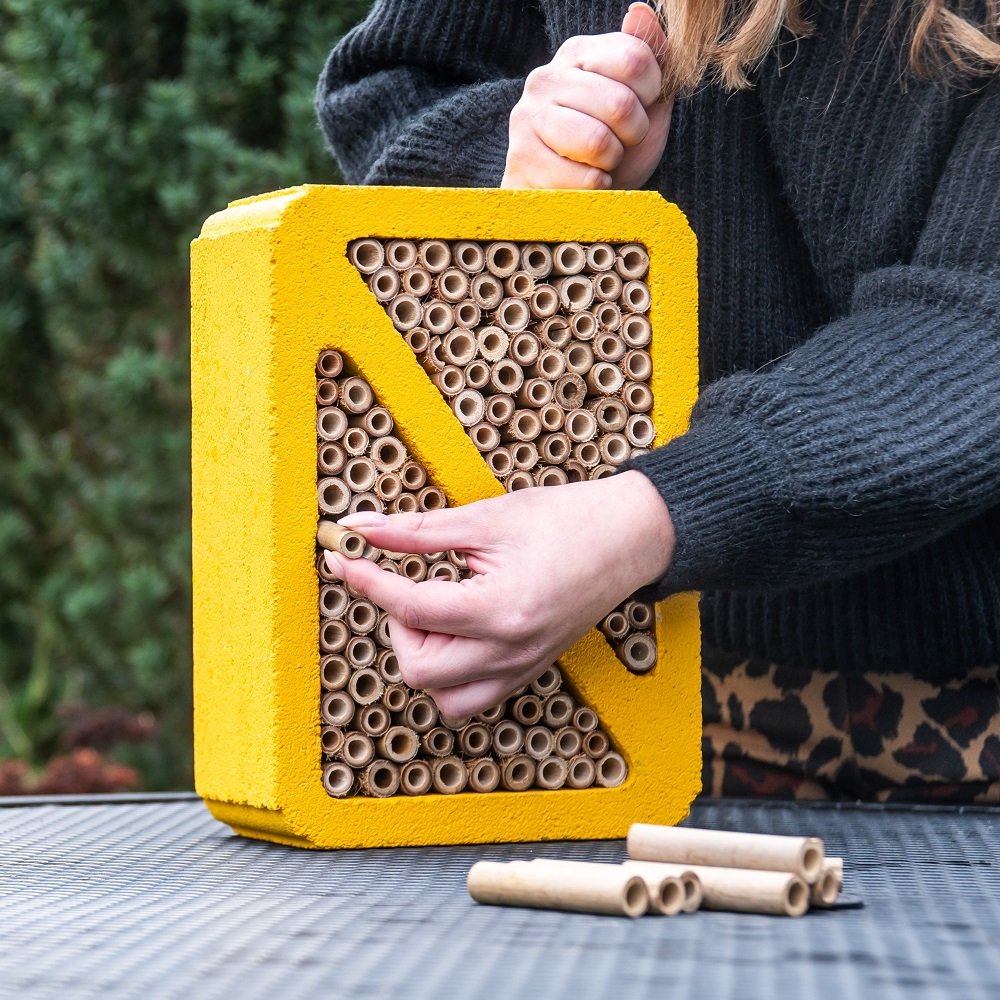 Un h&ocirc;tel &agrave; insectes est rempli de bois de bambou.