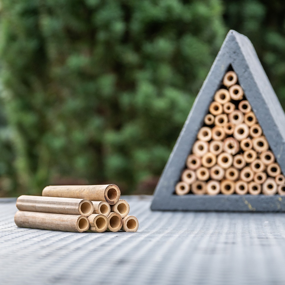 bois de bambou pour un h&ocirc;tel &agrave; insectes