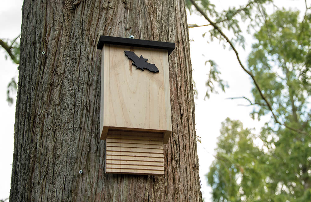 Une bo&icirc;te &agrave; chauves-souris en bois sur un arbre