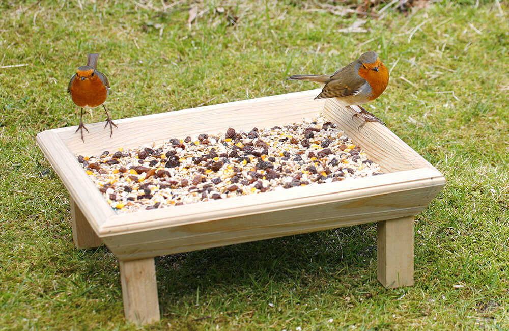 Deux rouges-gorges assis sur une mangeoire avec des graines pour oiseaux.
