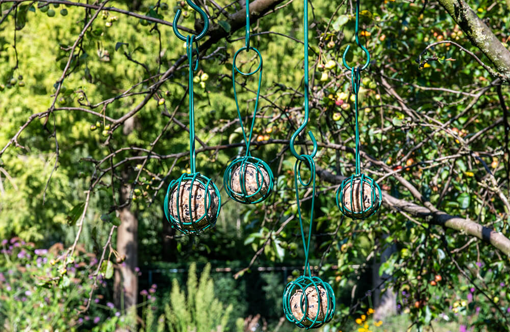 Notre nourrisseur de boules de graisse Lima est un choix populaire en raison de sa flexibilité.