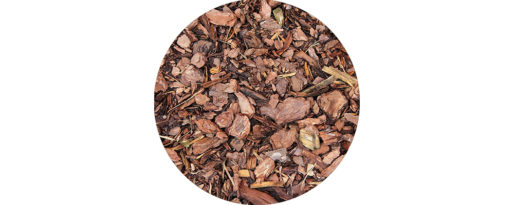 &Eacute;corce d'arbre s&eacute;ch&eacute;e sur le sol.