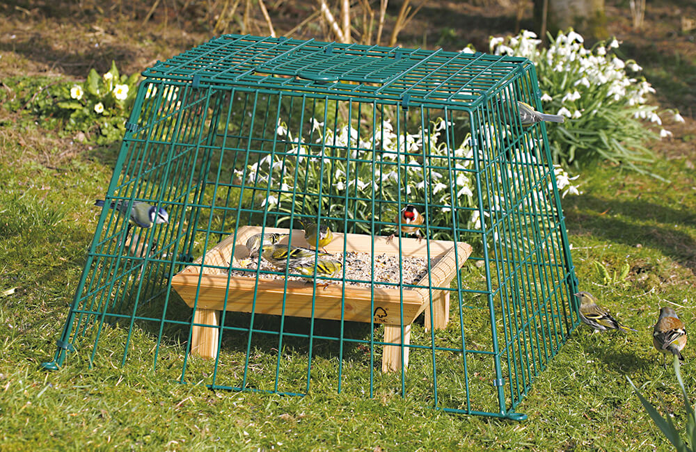 Une cage de protection plac&eacute;e autour d'une mangeoire avec quelques petits oiseaux &agrave; l'int&eacute;rieur.