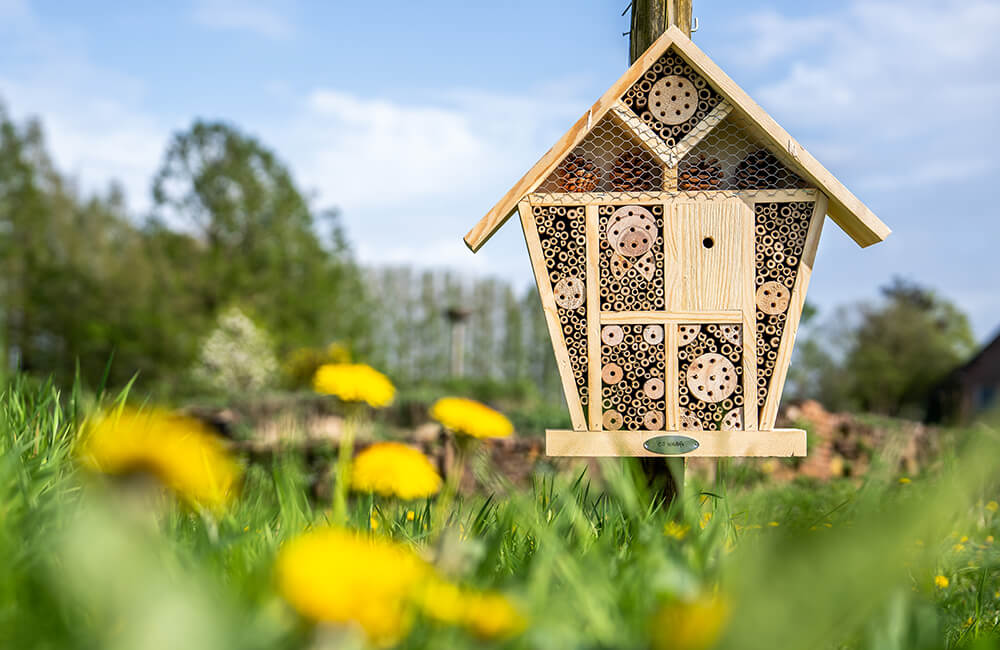 Un hôtel pour abeilles situé dans une nature luxuriante.