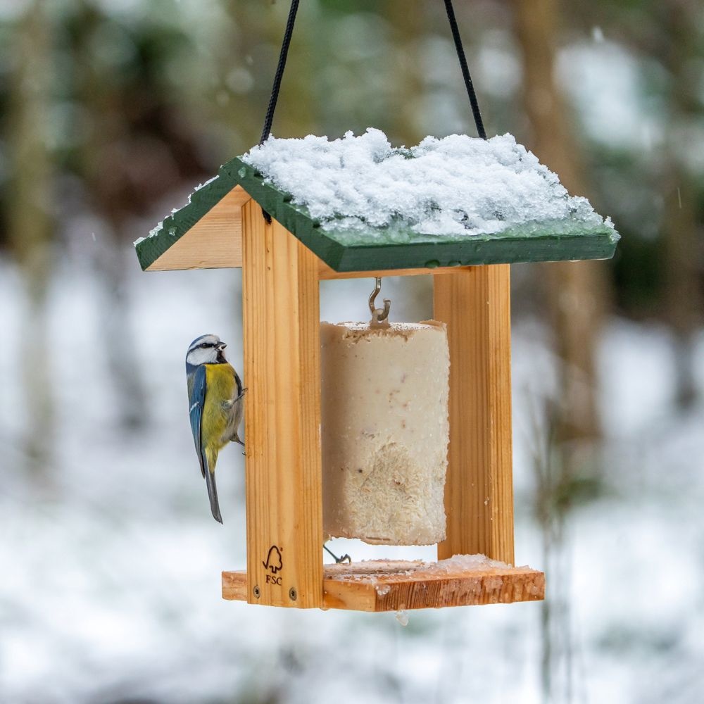 Une m&eacute;sange bleue sur une mangeoire contenant un bloc de graisse, dans la neige.
