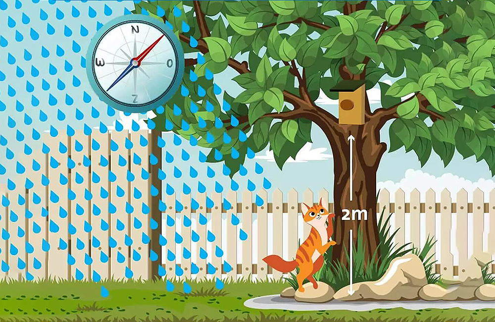 Infographie sur la hauteur d'un nichoir à oiseaux