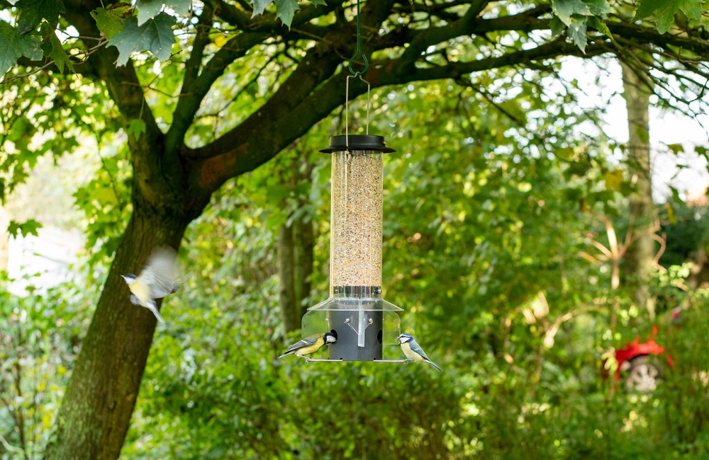 Mangeoire &agrave; oiseaux suspendue &agrave; un arbre