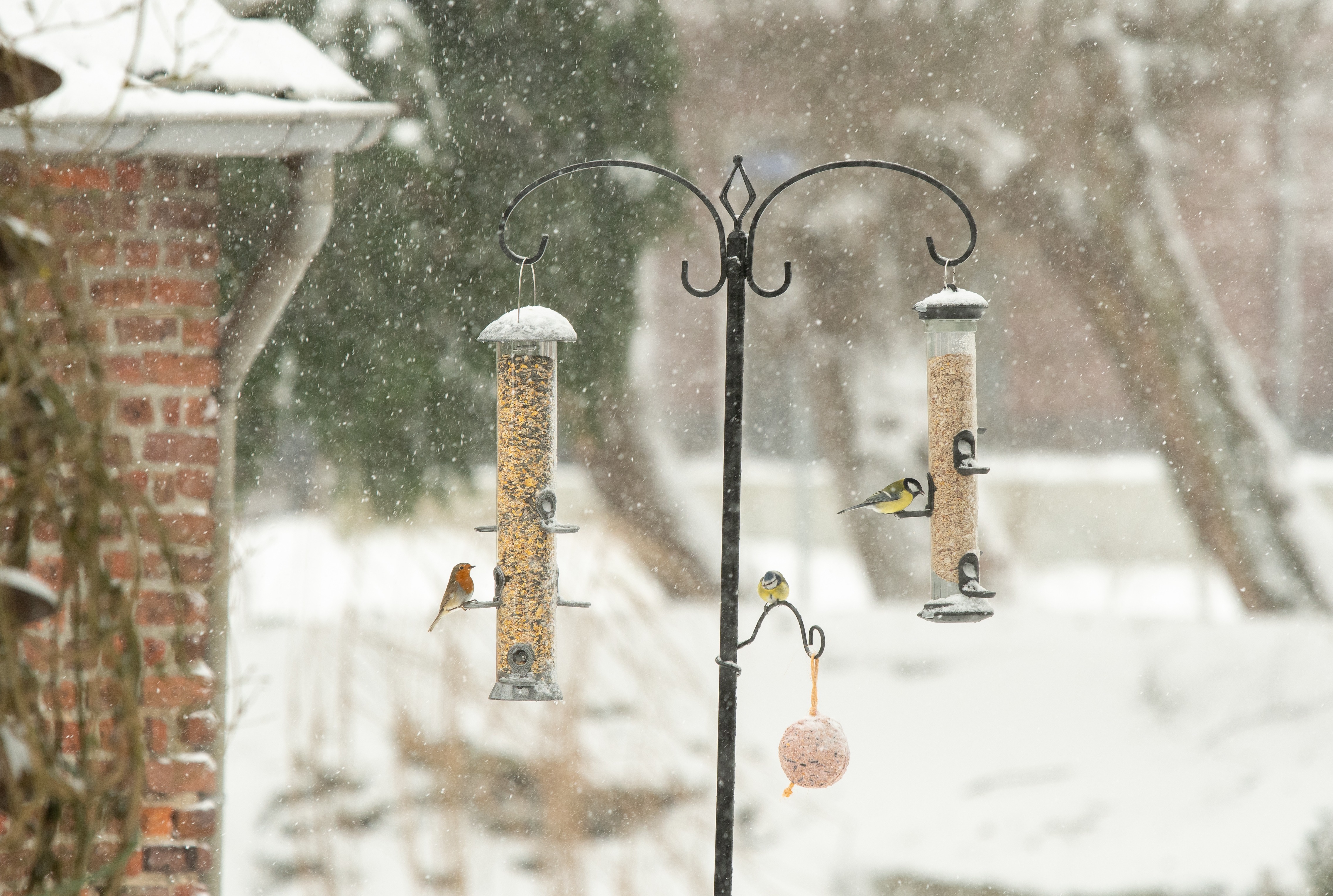 Deux silos à fourrage dans le jardin sous la neige